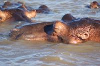 147 Bootstour St. Lucia Seeausläufer