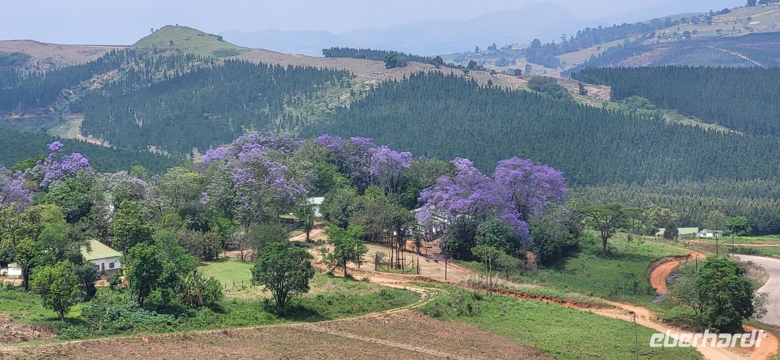185 Fahrt durch eSwatini