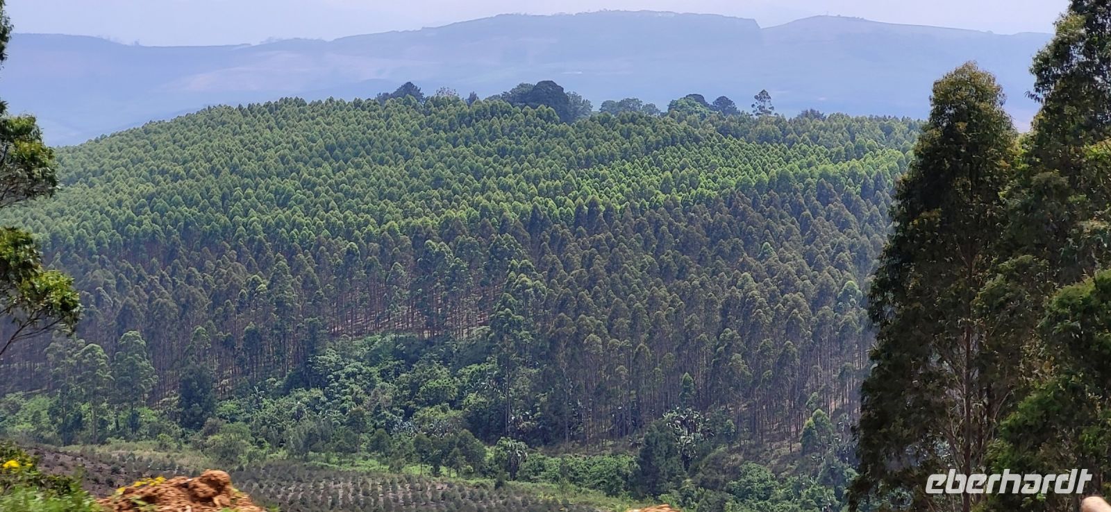 186 Fahrt durch eSwatini