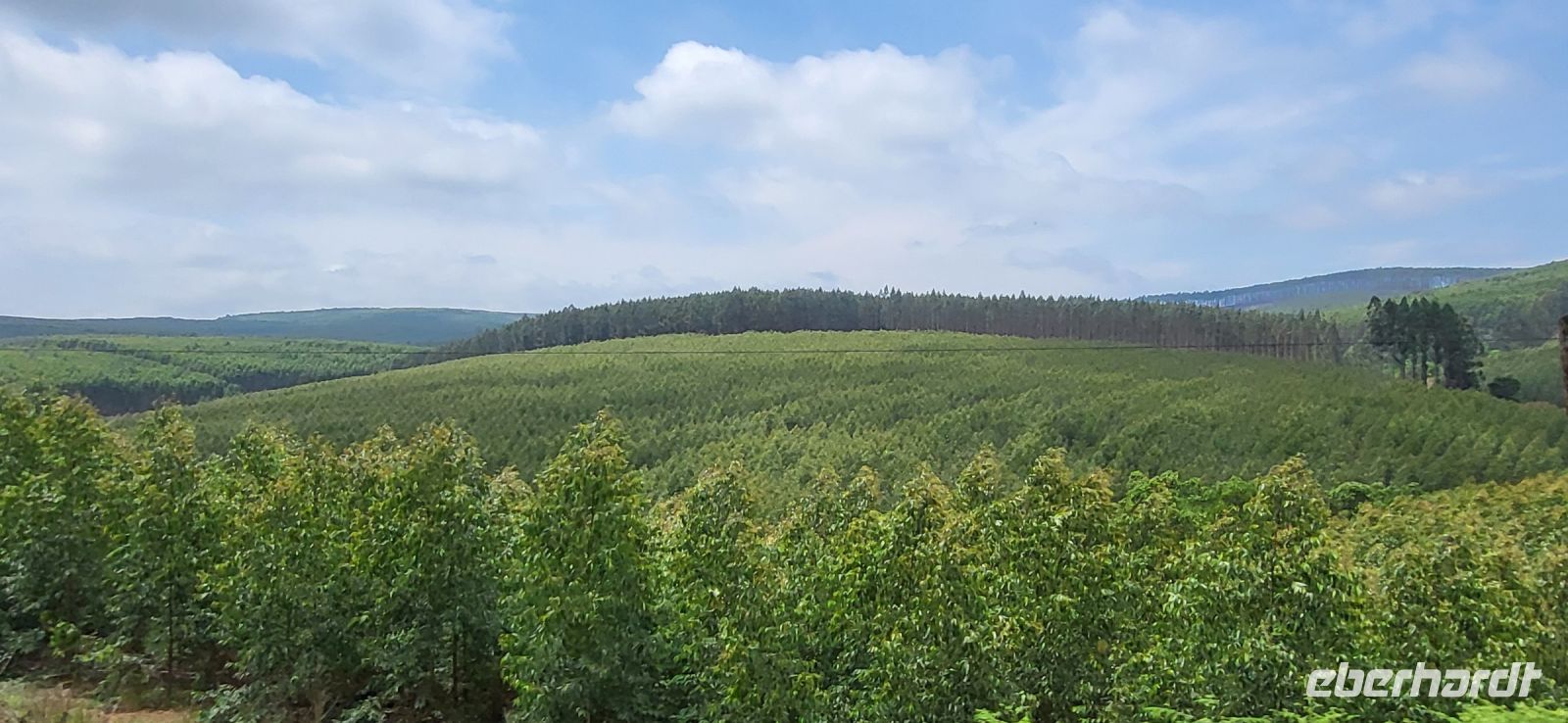 187 zurück in Südafrika