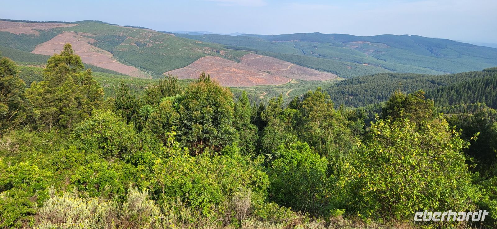 192 Blick in die endlose Weiter