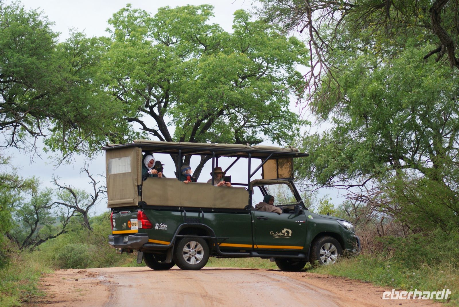 235 Safari im Krügerpark