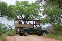 235 Safari im Krügerpark