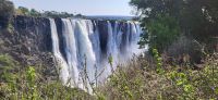 292 Victoria Wasserfälle Simbabwe