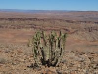 Fish River Canyon6