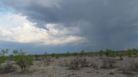 Etosha Gewitter zieht auf