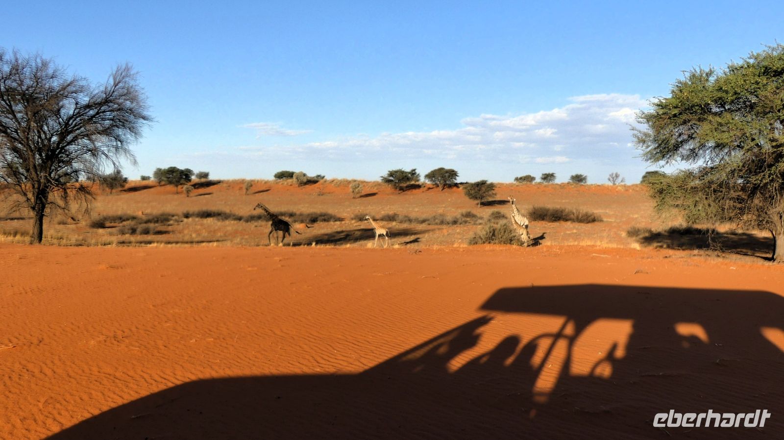 Namibia - Nature Drive in der Kalahari
