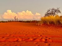 Namibia - Nature Drive in der Kalahari - Sundowner