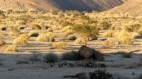 Namibia - Canyon Lodge - am Morgen
