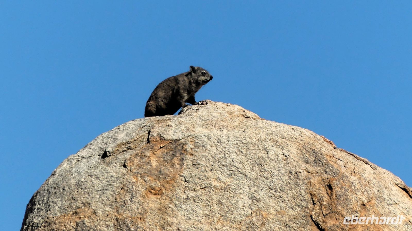 Namibia - Canyon Lodge - Security