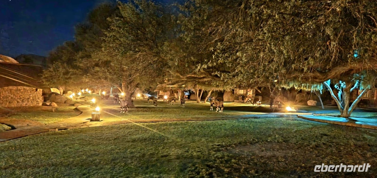 Namibia - Canyon Lodge - Silvesterabend