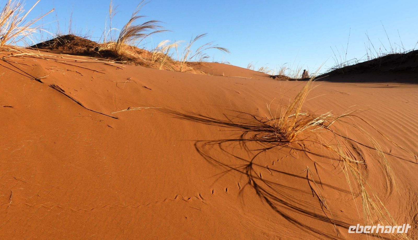 Namibia - Geschlängel in der Namib