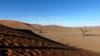 Namibia - Ausflug in die Namib