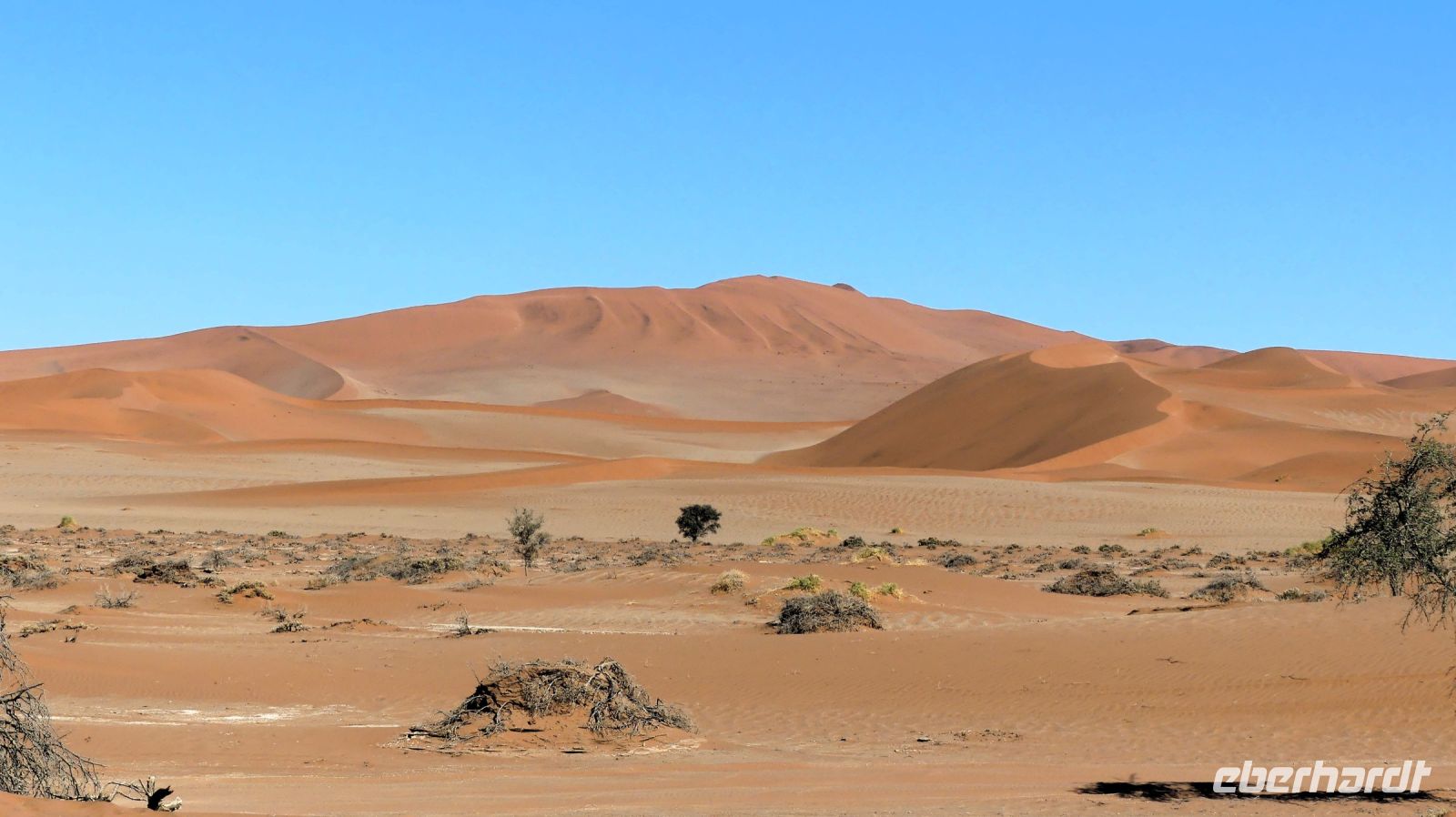 Namibia - Ausflug in die Namib