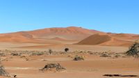 Namibia - Ausflug in die Namib