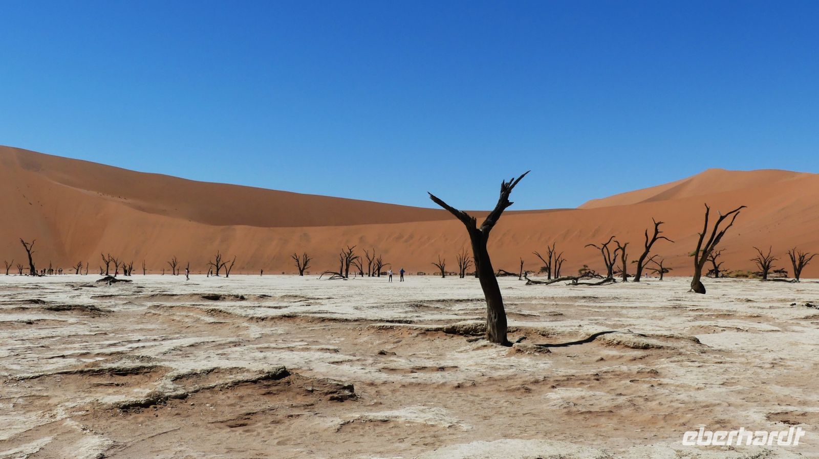 Namibia - Dead Vlei