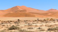 Namibia - Ausflug in die Namib