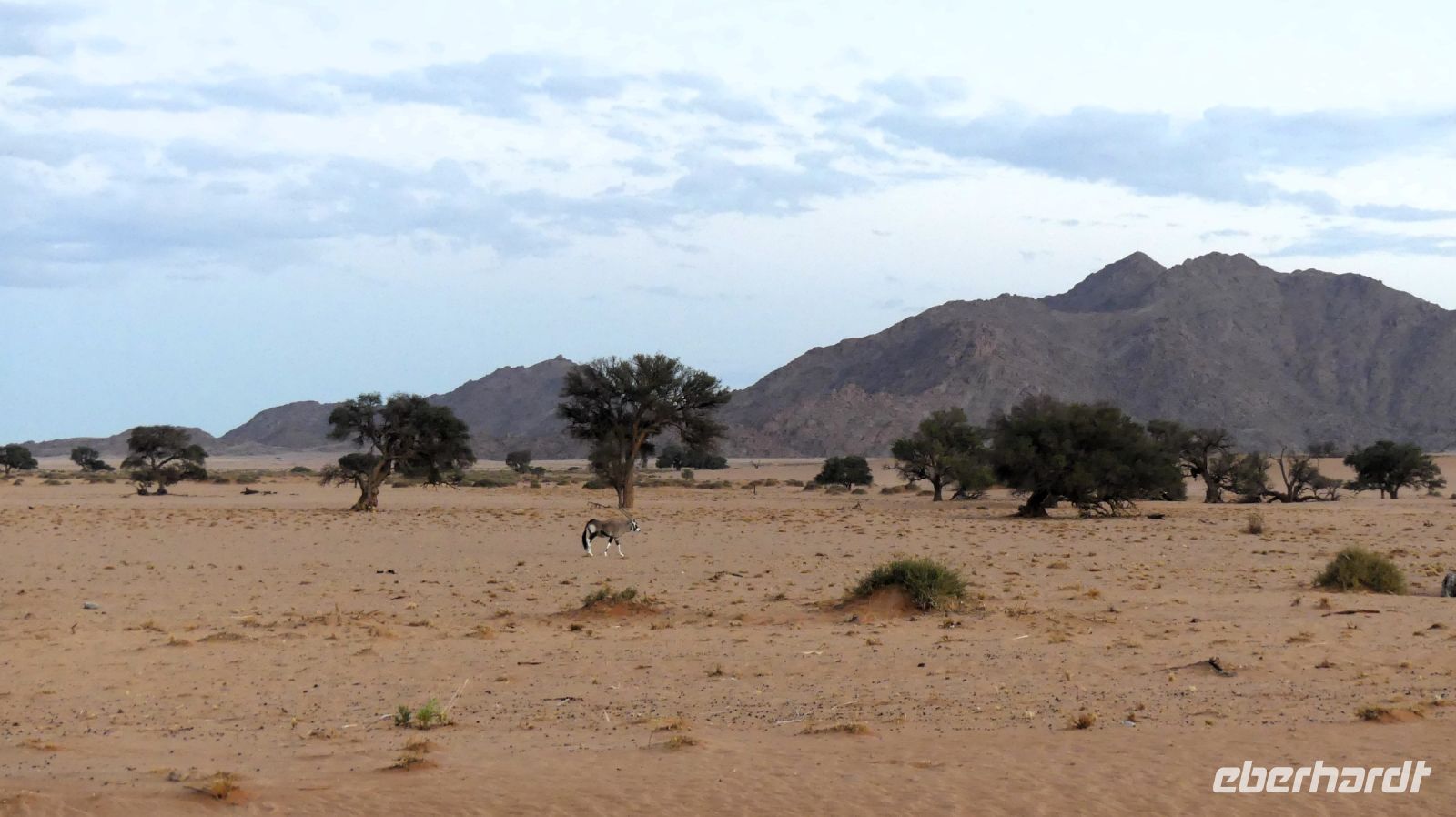 Namibia - Ausblick von der Sossusvlei Lodge
