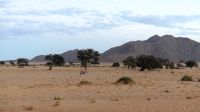 Namibia - Ausblick von der Sossusvlei Lodge