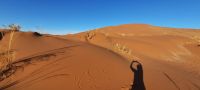 Namibia - Ausflug in die Namib