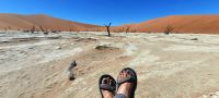 Namibia - Dead Vlei