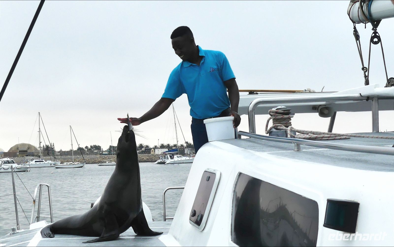 Namibia - Bootsfahrt in der Lagune von Walvis Bay