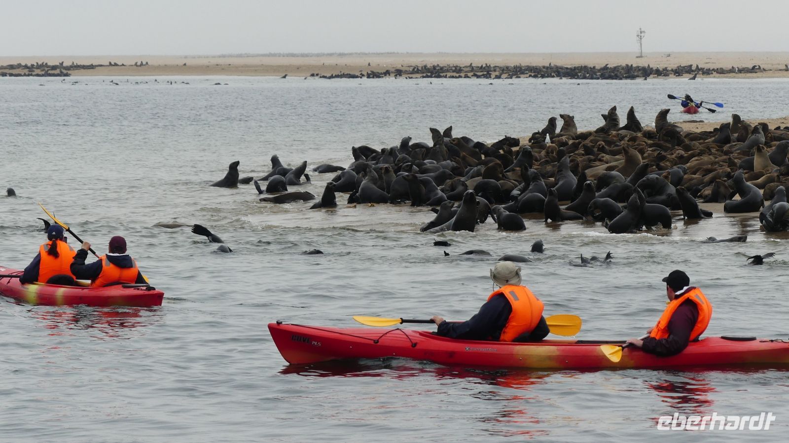Namibia - Bootsfahrt in der Lagune von Walvis Bay