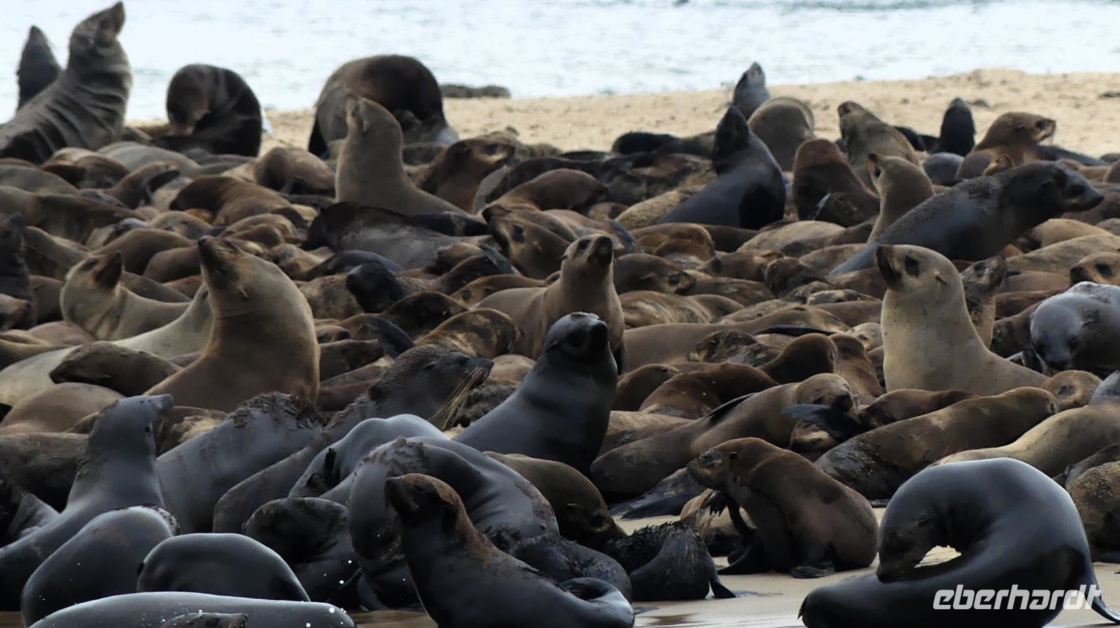 Namibia - Bootsfahrt in der Lagune von Walvis Bay