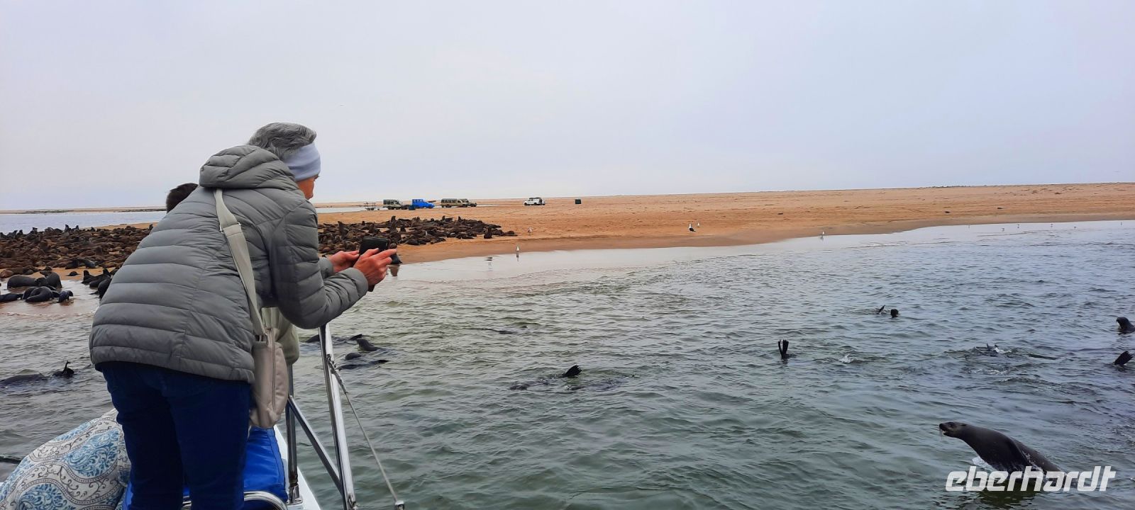 Namibia - Bootsfahrt in der Lagune von Walvis Bay 