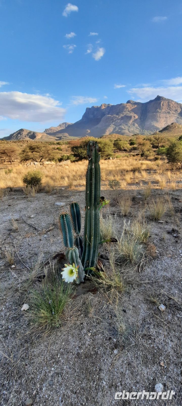 Namibia - Erongo Gebirge - Hohenstein Lodge - Sonnenaufgang