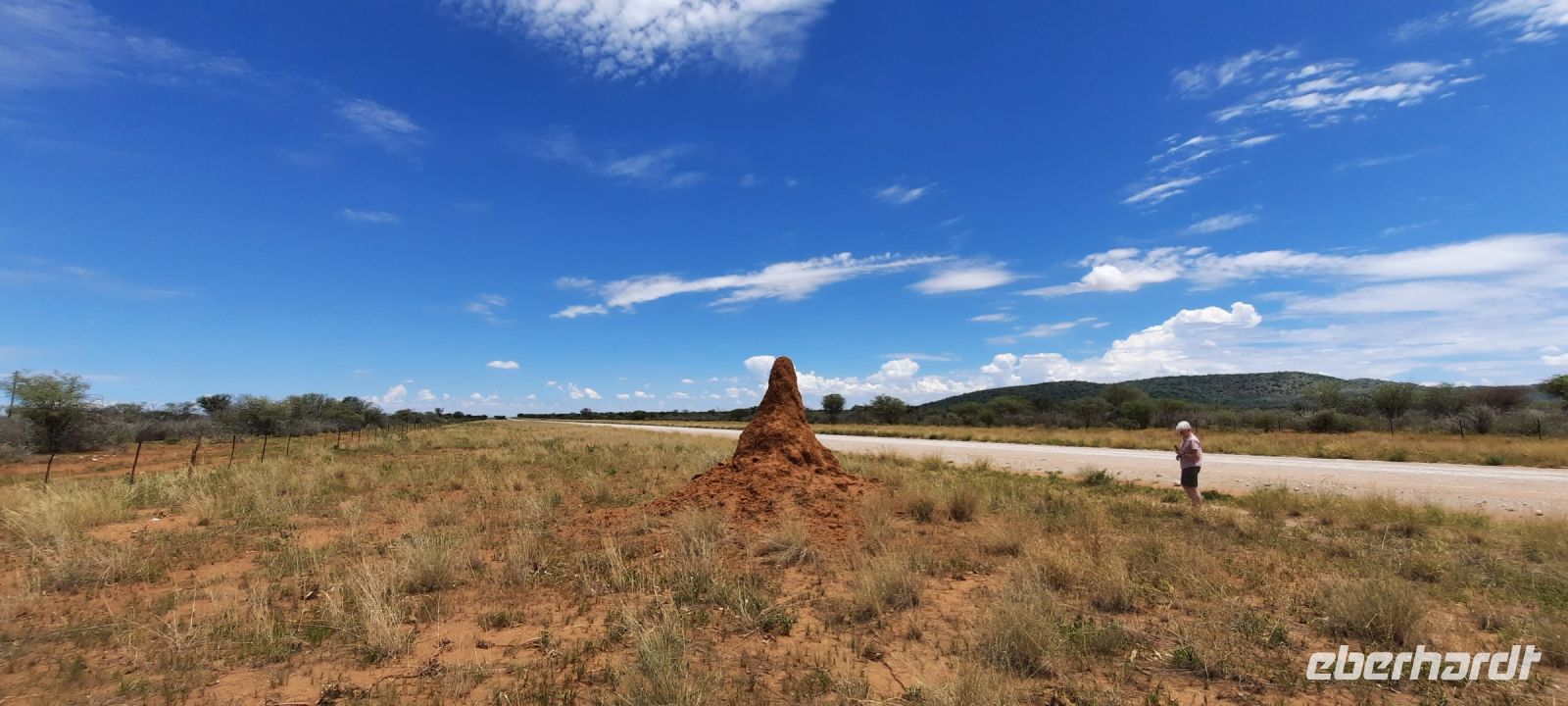 Namibia - unterwegs zum Etosha - Termitenhügel