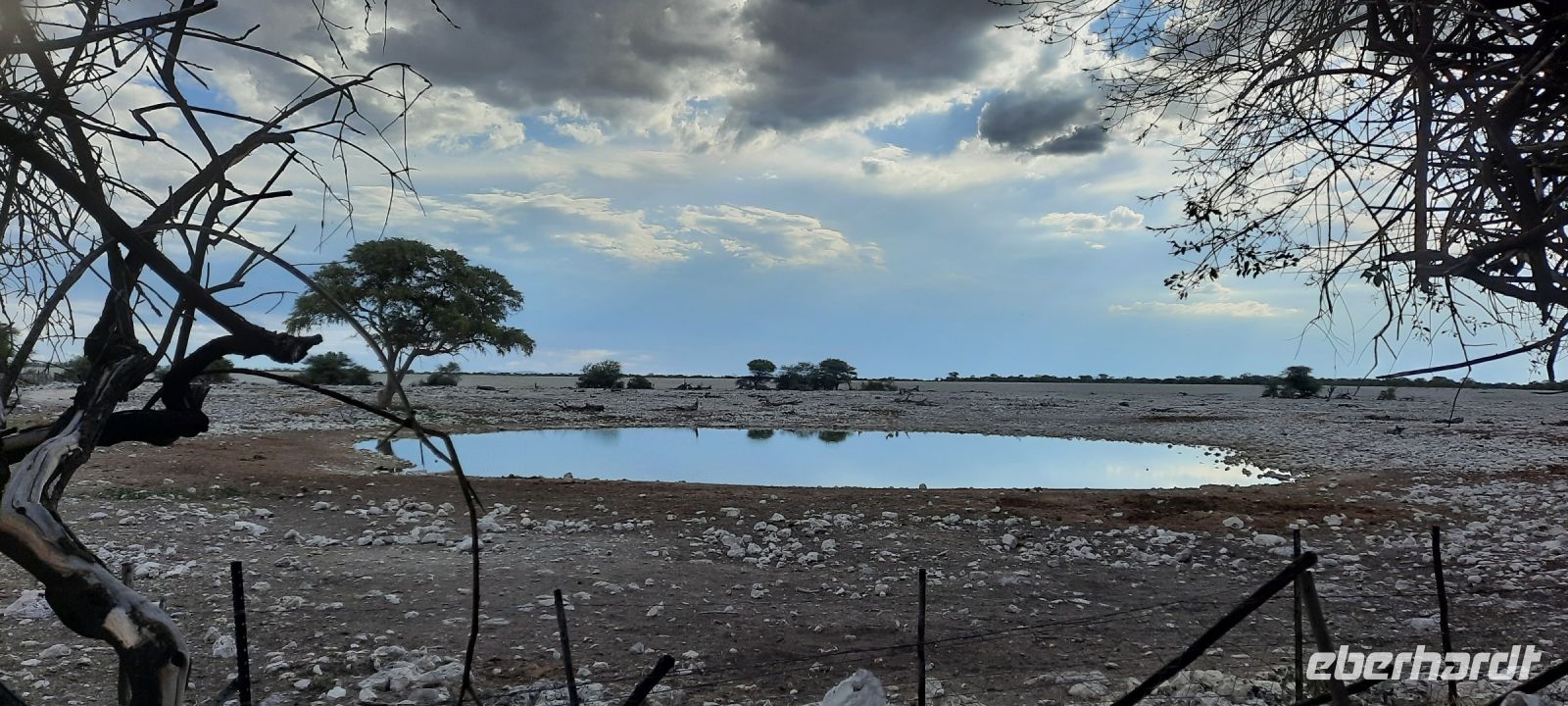 Namibia - Pirschfahrt im Etosha - leeres Wasserloch