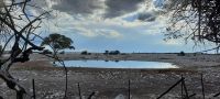 Namibia - Pirschfahrt im Etosha - leeres Wasserloch