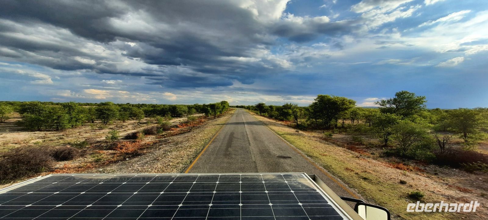 Namibia - Pirschfahrt im grünen Etosha