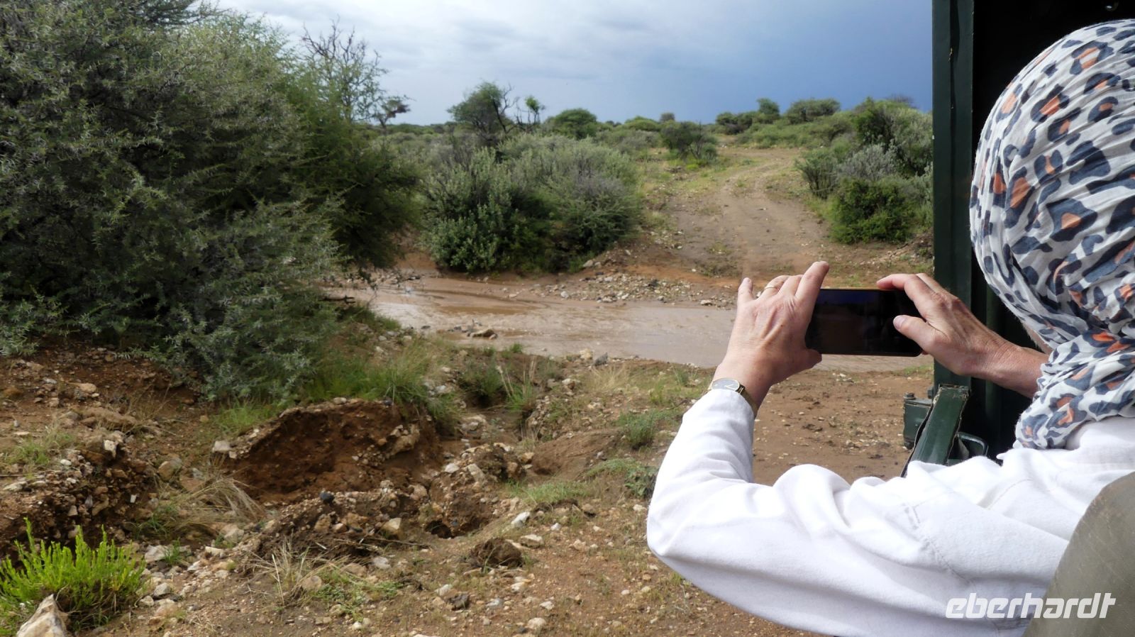 Namibia - Nature Drive am Mount Etjo