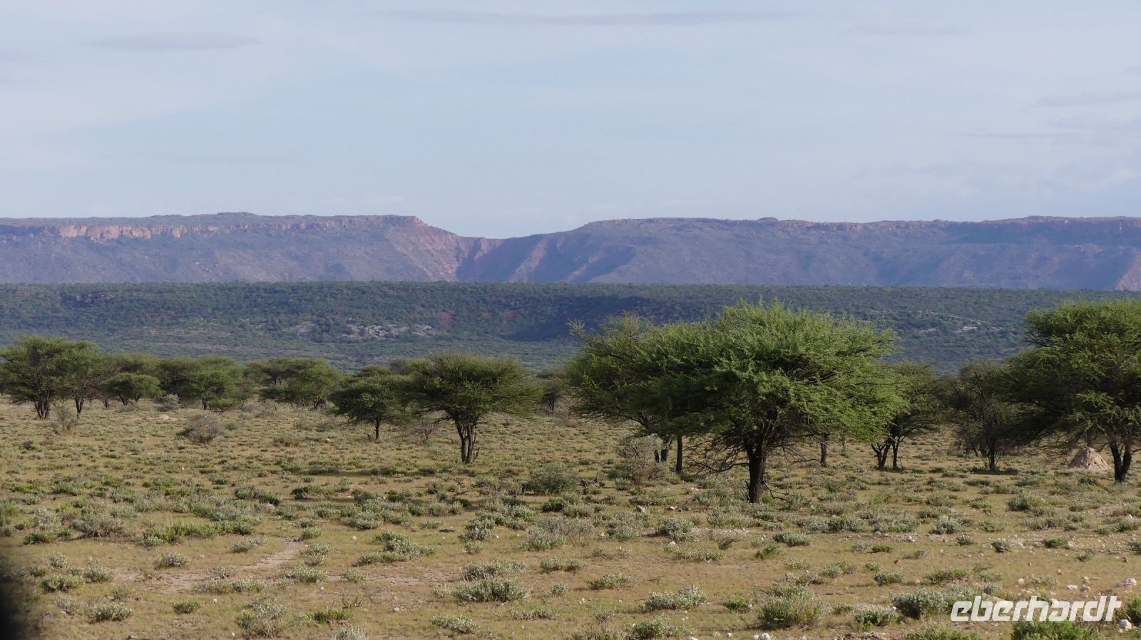 Namibia - Nature Drive am Mount Etjo - faszinierende Landschaft