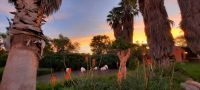 Namibia - Mount Etjo Safari Lodge - Abendstimmung