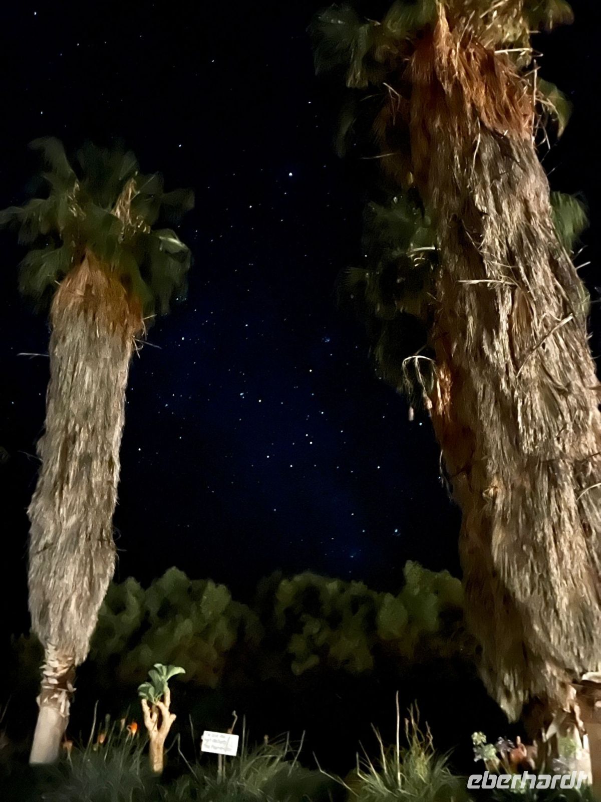 Namibia - Mount Etjo Safari Lodge - Gute Nacht