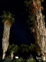 Namibia - Mount Etjo Safari Lodge - Gute Nacht