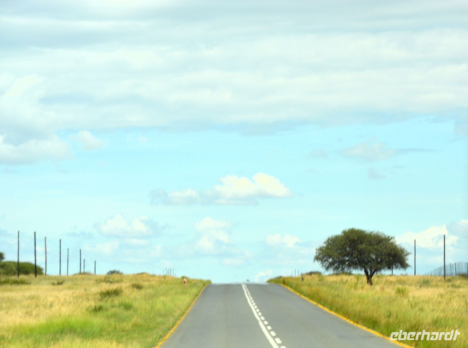 auf dem Weg in Richtung des Fish River Canyon - grüne Kalahari