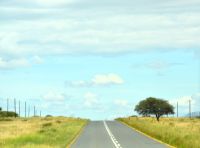 auf dem Weg in Richtung des Fish River Canyon - grüne Kalahari