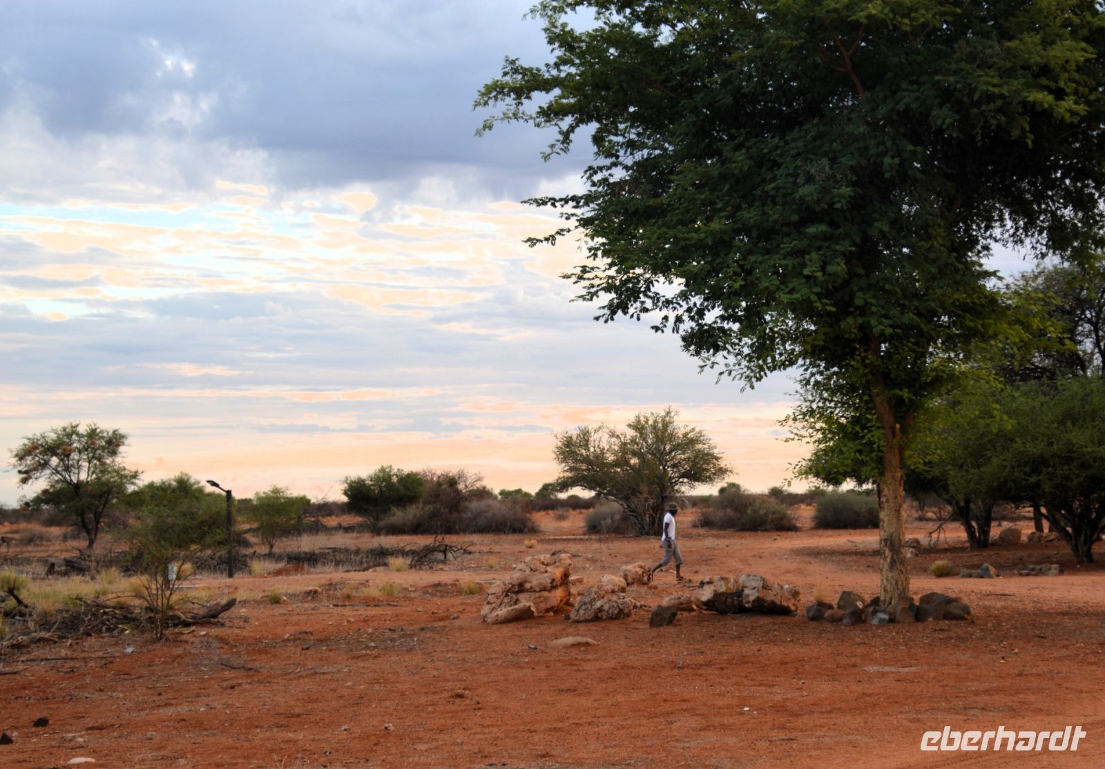 auf dem Weg zur Arbeit in der Kalahari Abib Lodge