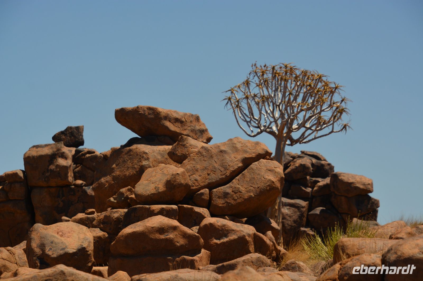 Harmonie in der Natur