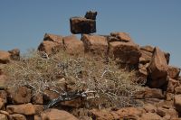 Stil Leben auf afrikanisch