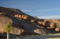 Abendstimmung im Canyon Village