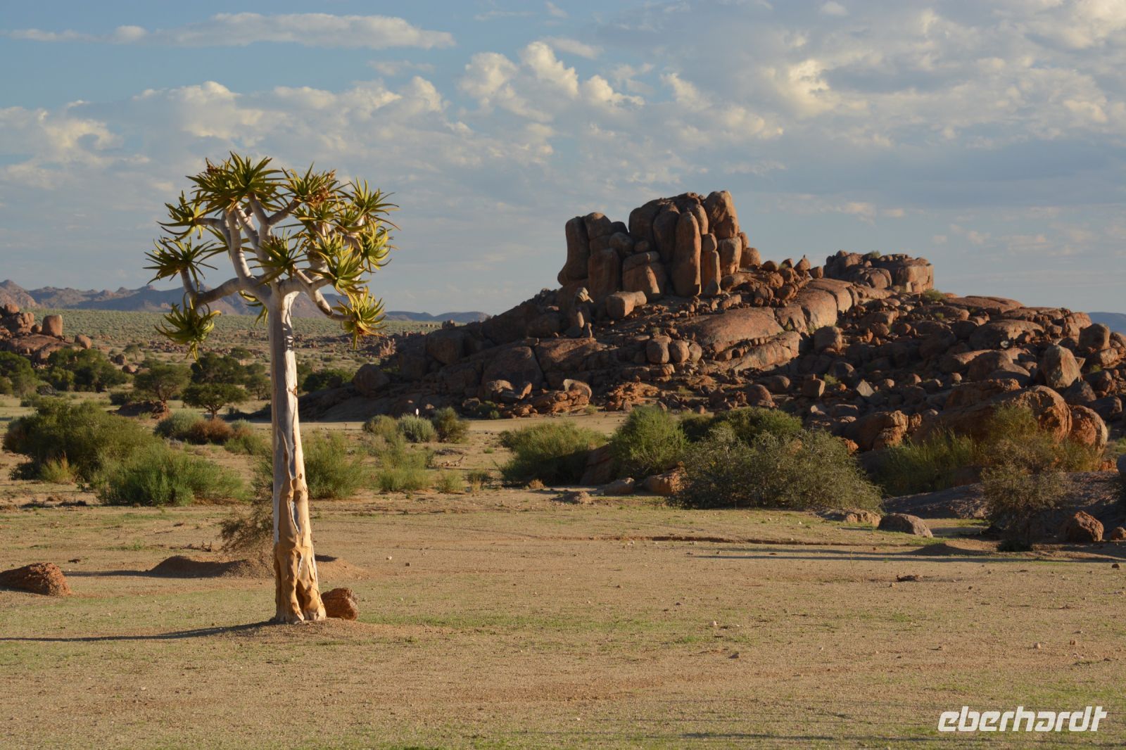 Bilderbuchlandschaft im Canyon Village