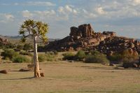 Bilderbuchlandschaft im Canyon Village