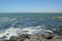 am Anfang war das Meer