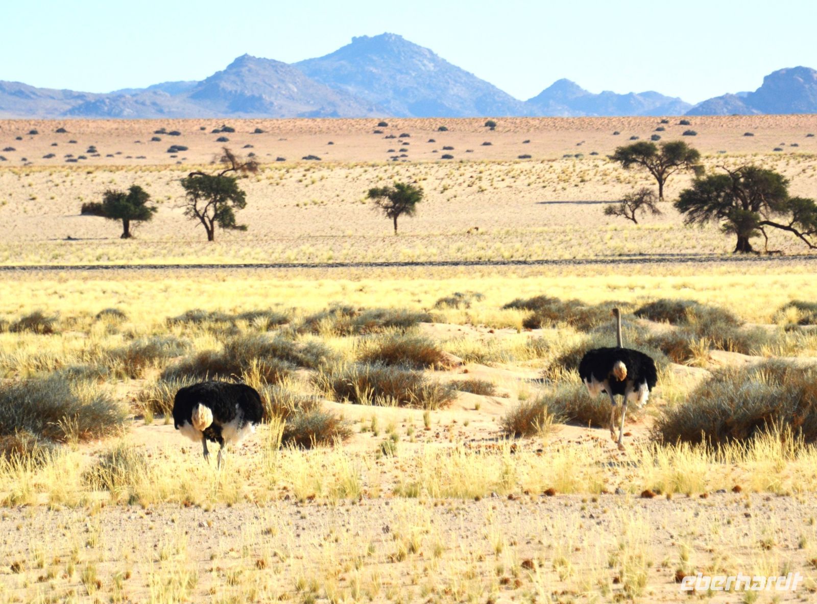 Landschaft wie im Bilderbuch