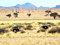 Landschaft wie im Bilderbuch